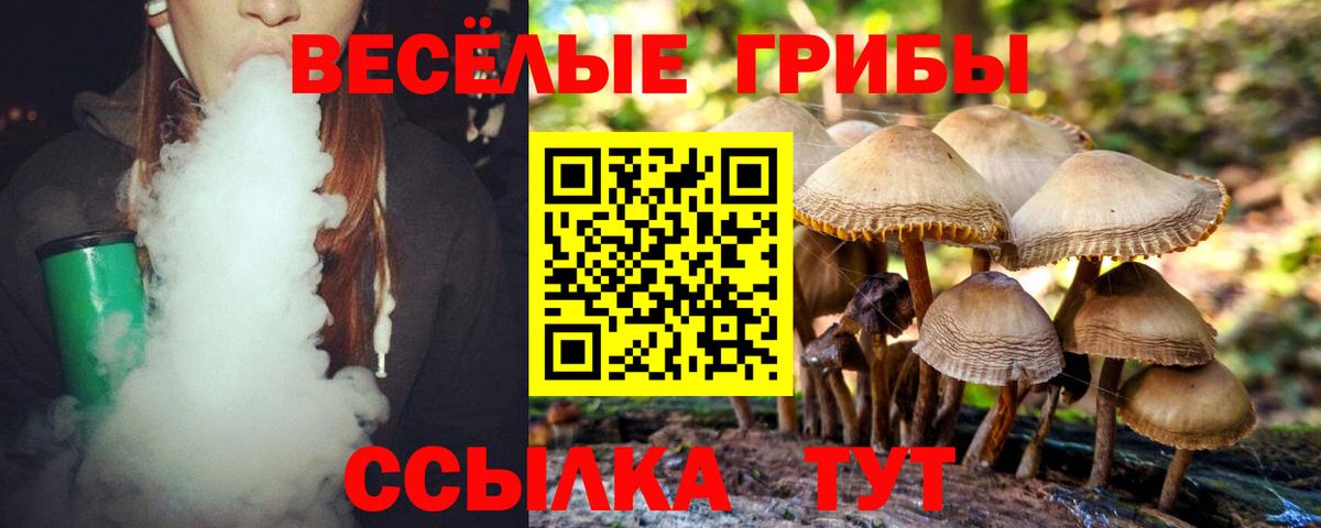 Псилоцибиновые грибы Cubensis  Вход с VPN  купить   Черкесск 